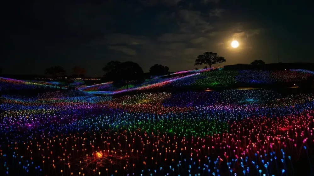 A field of thousands of colorful LED lights glows in waves across rolling hills under a full moon, offering a magical night reminiscent of Paso Robles Inn Experiences, with scattered trees silhouetted against the night sky.
