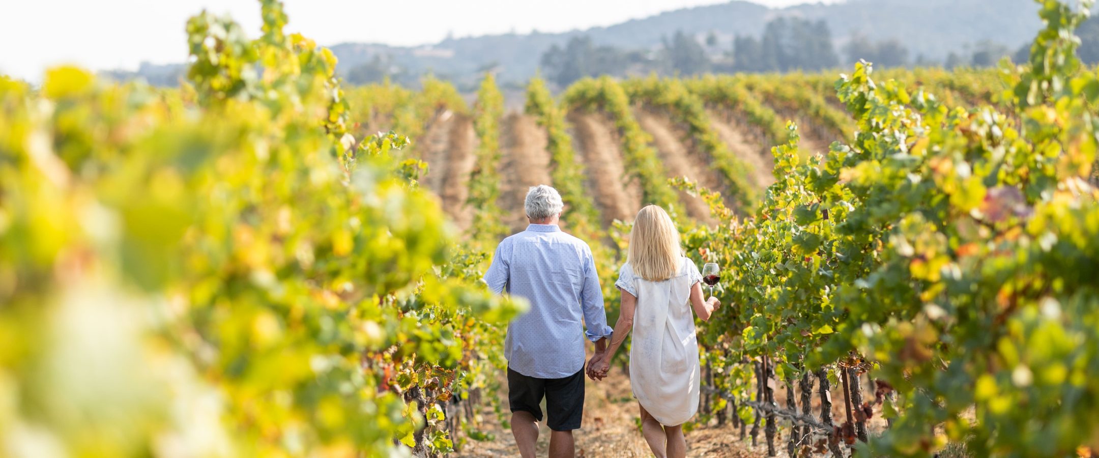 An older couple walks hand in hand through a sunlit vineyard during Paso Robles events, surrounded by rows of green grapevines with hills in the background.