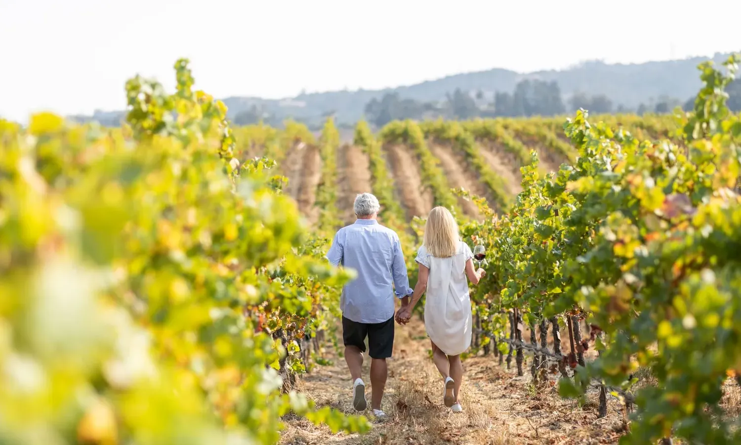 An older couple walks hand in hand through a sunlit vineyard during Paso Robles events, surrounded by rows of green grapevines with hills in the background.