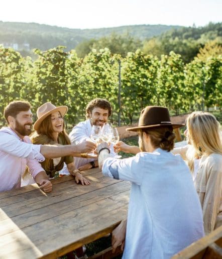 Five people sit at an outdoor wooden table in a vineyard, smiling and clinking wine glasses together, enjoying the scenic hills and green grapevines on a sunny day—capturing the essence of a Paso Robles Inn summer offer.