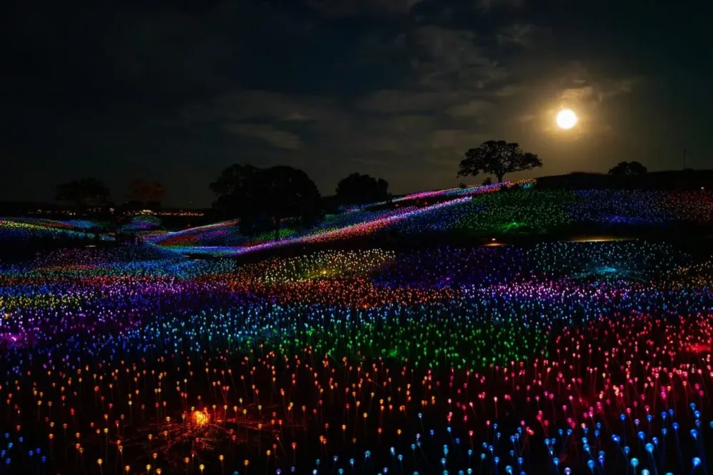 A glowing field of colorful lights covers rolling hills under a cloudy night sky with a full moon. Trees are silhouetted against the horizon, creating a magical and vibrant nighttime landscape.