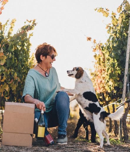 A woman sits in a vineyard holding wine bottles and a box, smiling as a spotted dog stands on its hind legs with its front paws on her knee. Grapevines with green and yellow leaves surround them, capturing the spirit of Paso Robles Events.