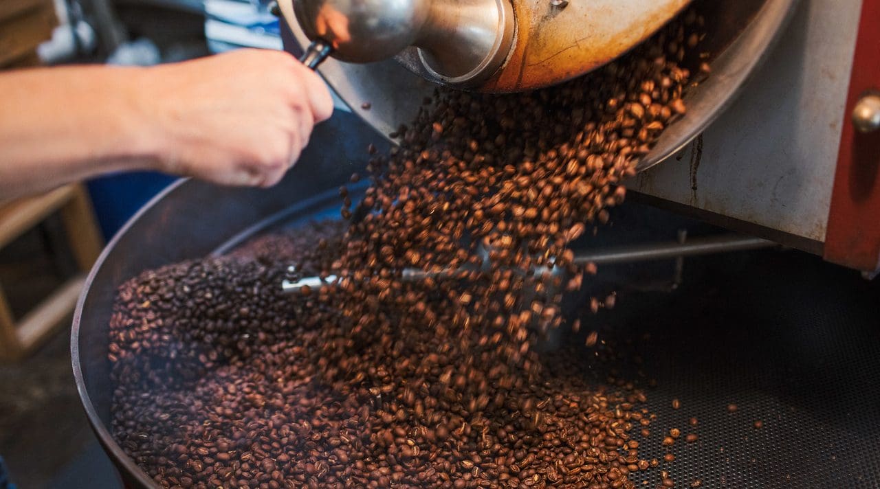 A person releases freshly roasted coffee beans from a roasting machine into a round cooling tray. The beans tumble out in a stream, filling the tray below.