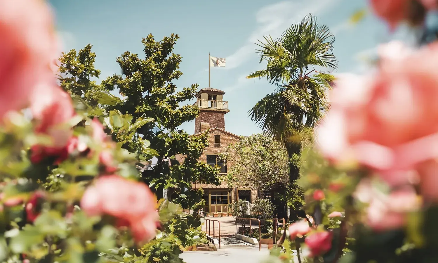 A brick building with a tower and flag stands in the sunlight, surrounded by palm trees and blooming pink flowers in the foreground. The sky is blue with wispy clouds.
