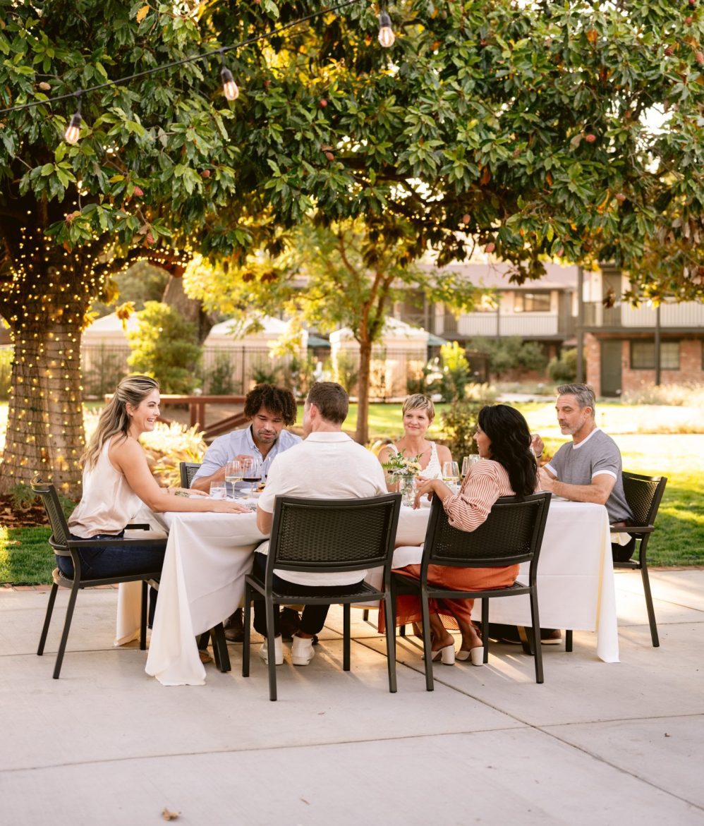 Group of people dining in a garden at golden hour.