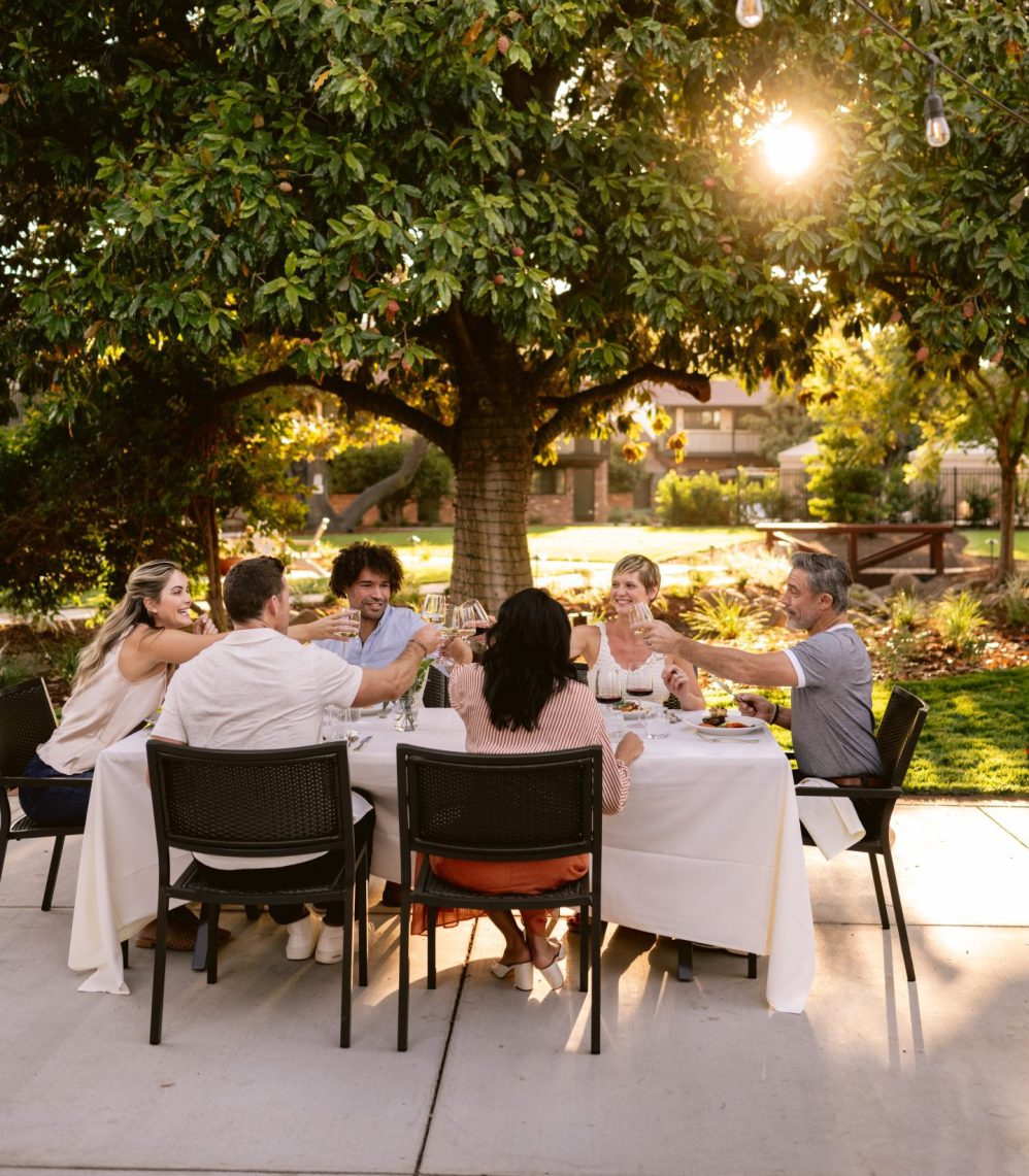 Group of people dining in a garden at golden hour.