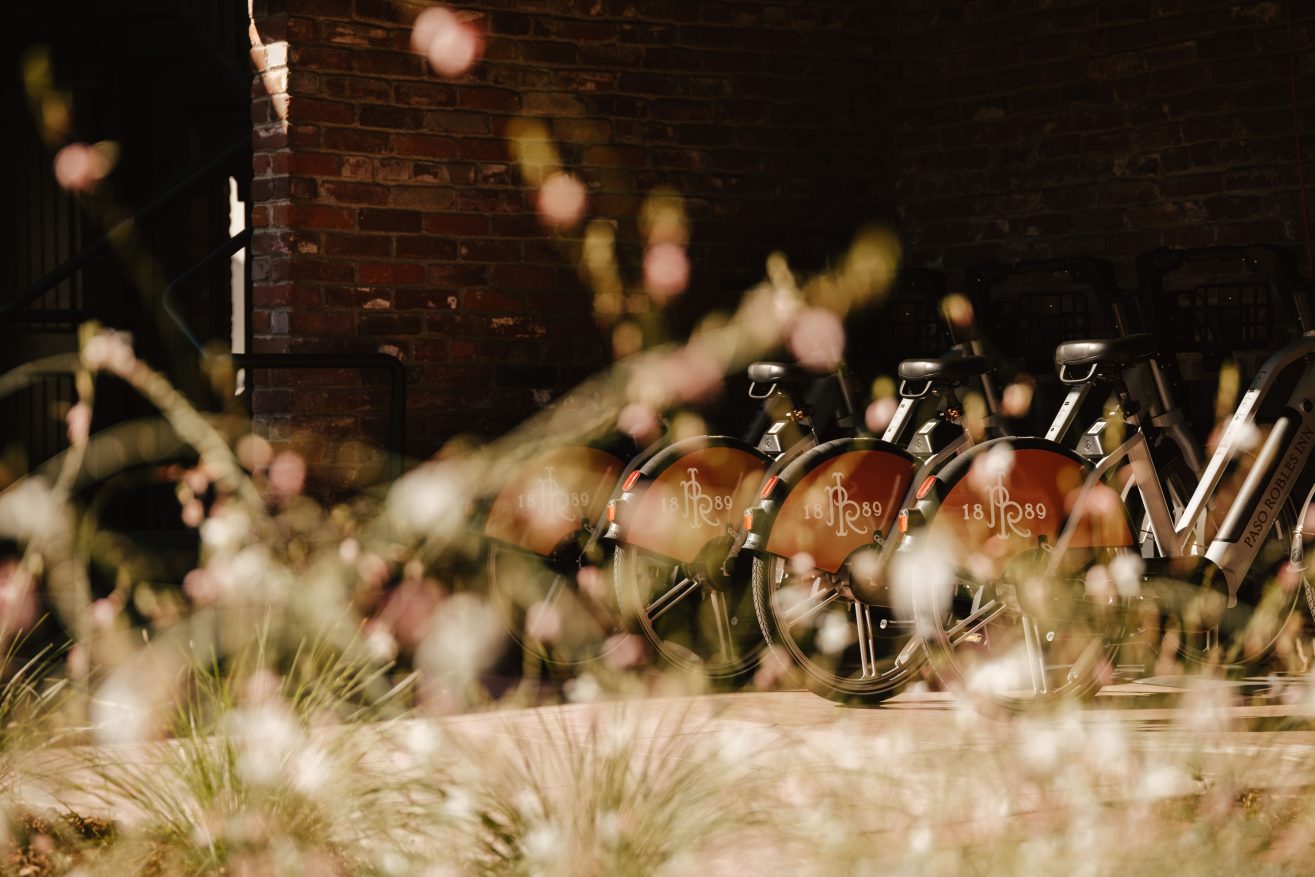 Several bicycles with orange wheel covers are parked in a row against a brick wall, partially obscured by tall, out-of-focus grasses and flowers in the foreground.