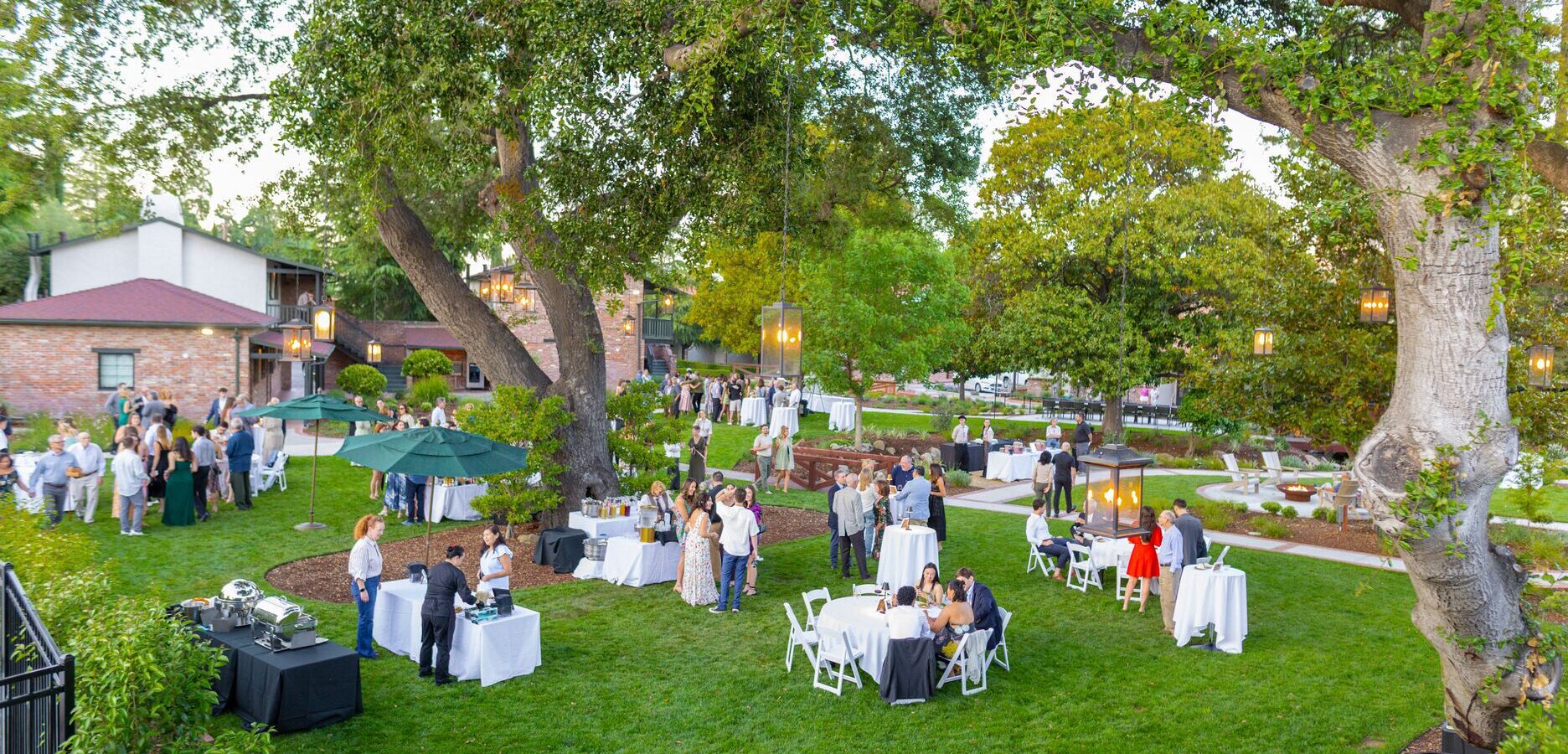 People standing in green garden