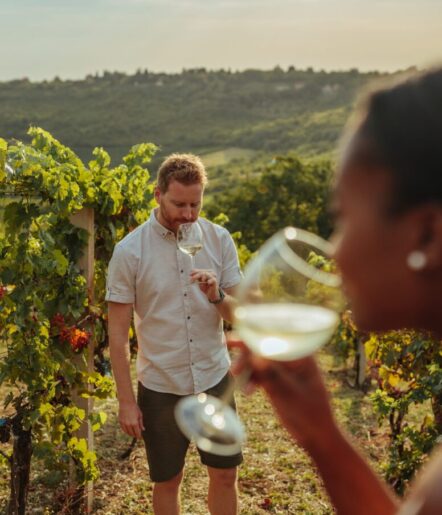 A man in a vineyard smells a glass of white wine, standing among grapevines, while a person in the foreground also holds a glass. The scene is set on a sunny day with green hills in the background.