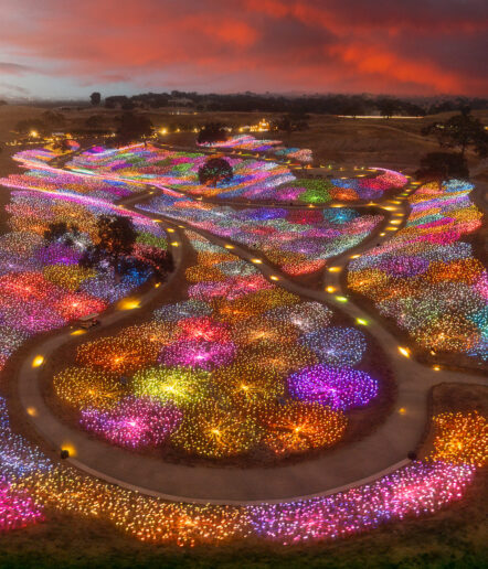 A scenic hillside is covered with thousands of glowing, colorful lights in swirling patterns under a dramatic sunset sky, with winding paths weaving through the illuminated landscape.