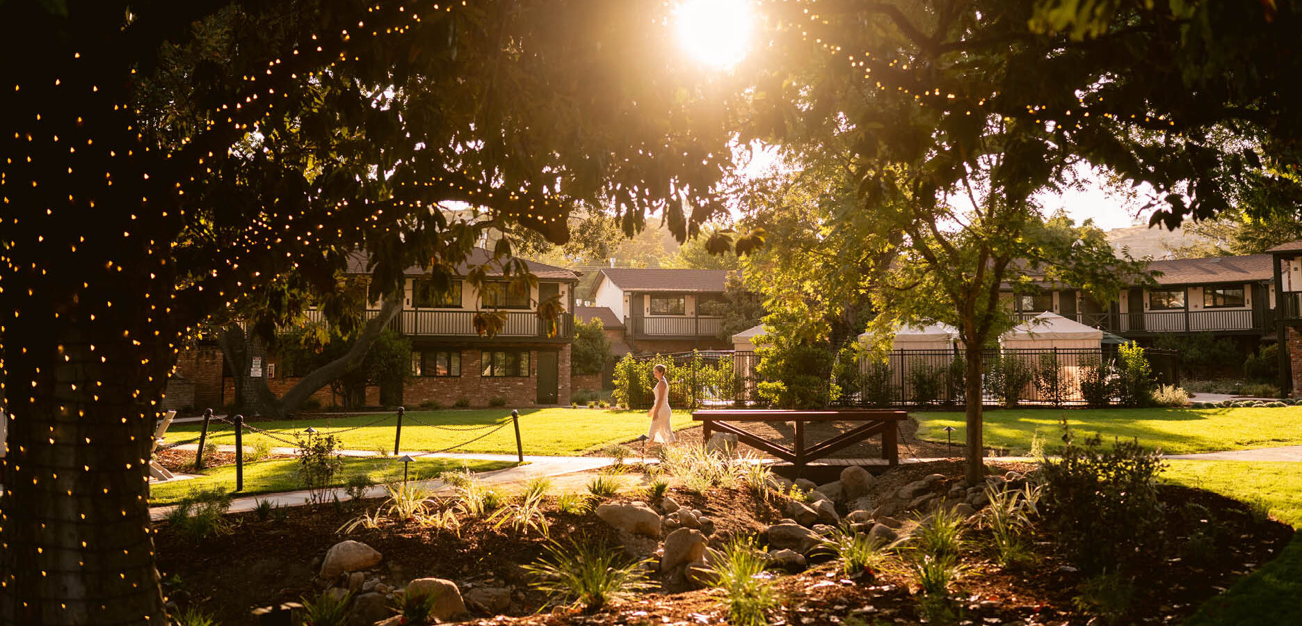A sunlit garden with lush greenery, a wooden bench, a tree decorated with string lights, and apartment buildings in the background. A person stands in the light near the center of the image.