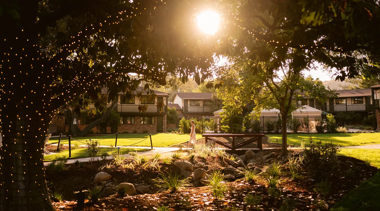 A sunlit garden with lush greenery, a wooden bench, a tree decorated with string lights, and apartment buildings in the background. A person stands in the light near the center of the image.