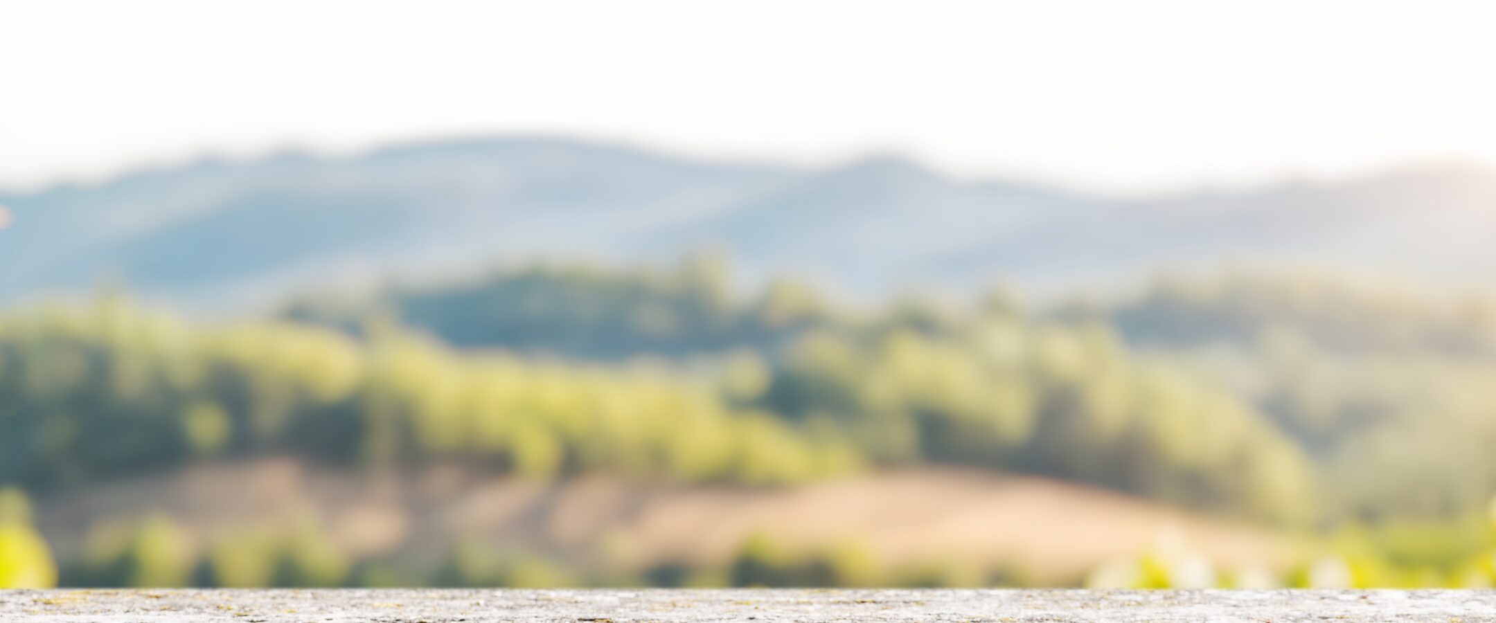 A wooden table or surface in the foreground with a blurred, sunlit landscape of green hills and distant mountains, reminiscent of views from Paso Robles restaurants, under a bright sky.